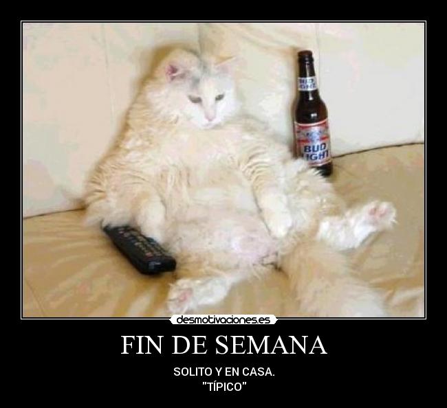 FIN DE SEMANA - SOLITO Y EN CASA.
TÍPICO