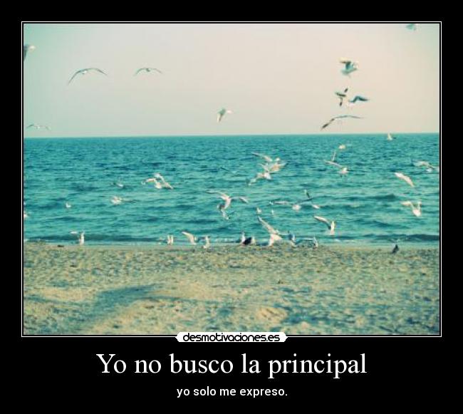 Yo no busco la principal -