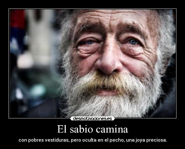 carteles sabio desmotivaciones