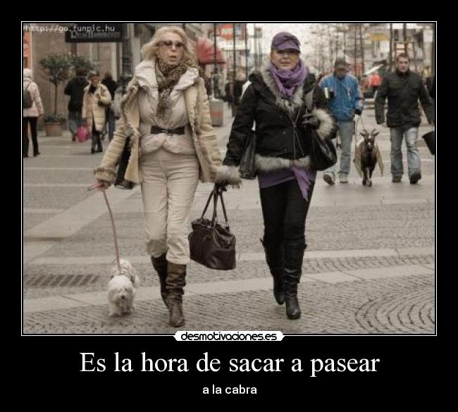 Es la hora de sacar a pasear - 