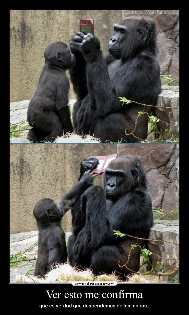 Ver esto me confirma -