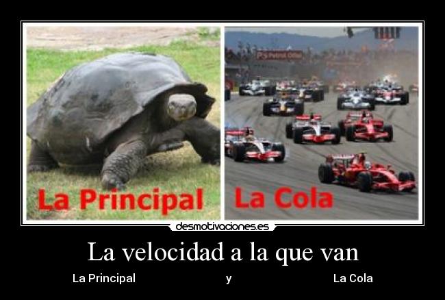 La velocidad a la que van -