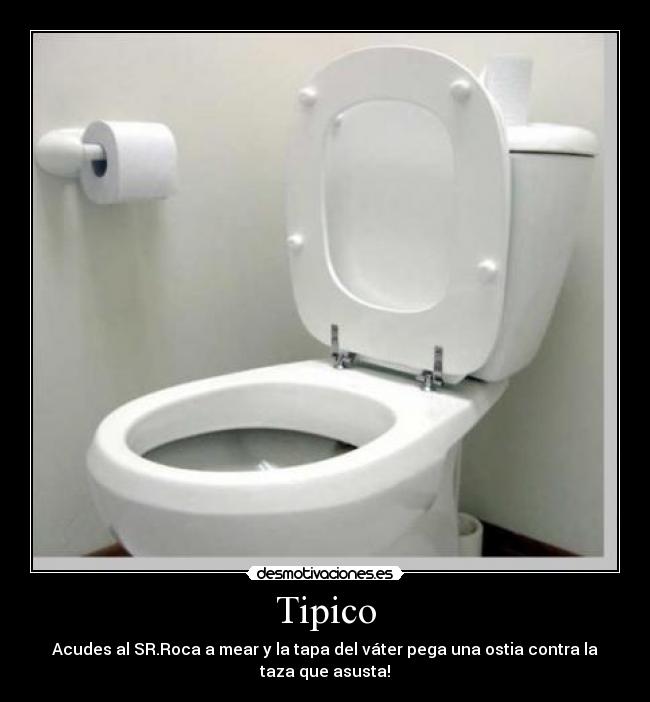 Tipico - Acudes al SR.Roca a mear y la tapa del váter pega una ostia contra la
taza que asusta!