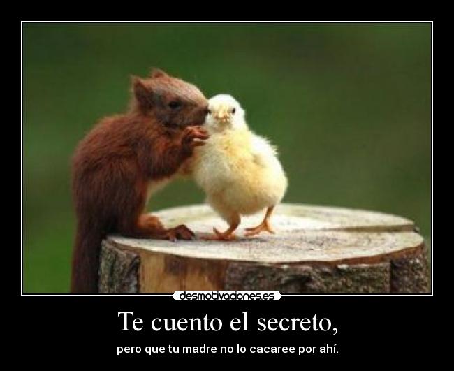 Te cuento el secreto, - pero que tu madre no lo cacaree por ahí.