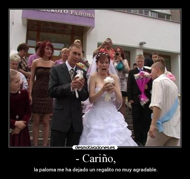 - Cariño, - 