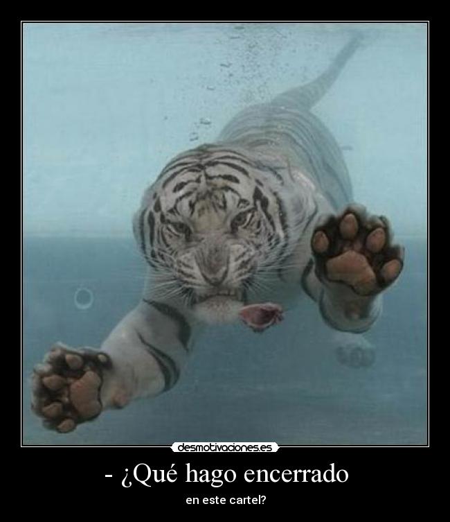 - ¿Qué hago encerrado -