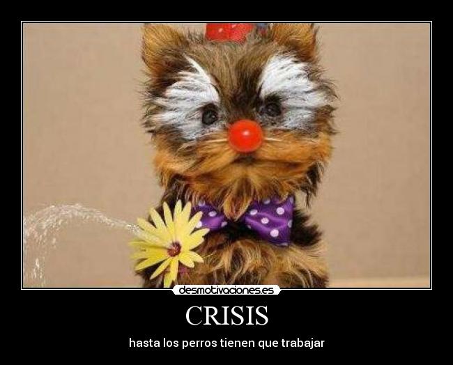 CRISIS - 