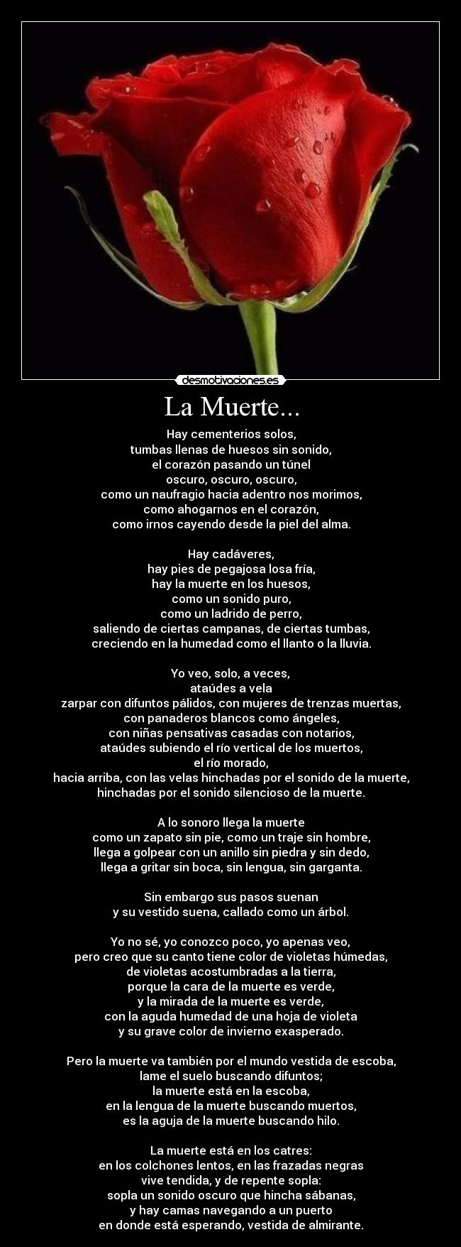 La Muerte... - Hay cementerios solos,
tumbas llenas de huesos sin sonido,
el corazón pasando un túnel
oscuro, oscuro, oscuro,
como un naufragio hacia adentro nos morimos,
como ahogarnos en el corazón,
como irnos cayendo desde la piel del alma.

Hay cadáveres,
hay pies de pegajosa losa fría,
hay la muerte en los huesos,
como un sonido puro,
como un ladrido de perro,
saliendo de ciertas campanas, de ciertas tumbas,
creciendo en la humedad como el llanto o la lluvia.

Yo veo, solo, a veces,
ataúdes a vela
zarpar con difuntos pálidos, con mujeres de trenzas muertas,
con panaderos blancos como ángeles,
con niñas pensativas casadas con notarios,
ataúdes subiendo el río vertical de los muertos,
el río morado,
hacia arriba, con las velas hinchadas por el sonido de la muerte,
hinchadas por el sonido silencioso de la muerte.

A lo sonoro llega la muerte
como un zapato sin pie, como un traje sin hombre,
llega a golpear con un anillo sin piedra y sin dedo,
llega a gritar sin boca, sin lengua, sin garganta.

Sin embargo sus pasos suenan
y su vestido suena, callado como un árbol.

Yo no sé, yo conozco poco, yo apenas veo,
pero creo que su canto tiene color de violetas húmedas,
de violetas acostumbradas a la tierra,
porque la cara de la muerte es verde,
y la mirada de la muerte es verde,
con la aguda humedad de una hoja de violeta
y su grave color de invierno exasperado.

Pero la muerte va también por el mundo vestida de escoba,
lame el suelo buscando difuntos;
la muerte está en la escoba,
en la lengua de la muerte buscando muertos,
es la aguja de la muerte buscando hilo.

La muerte está en los catres:
en los colchones lentos, en las frazadas negras
vive tendida, y de repente sopla:
sopla un sonido oscuro que hincha sábanas,
y hay camas navegando a un puerto
en donde está esperando, vestida de almirante.