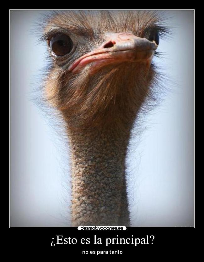 ¿Esto es la principal? - 