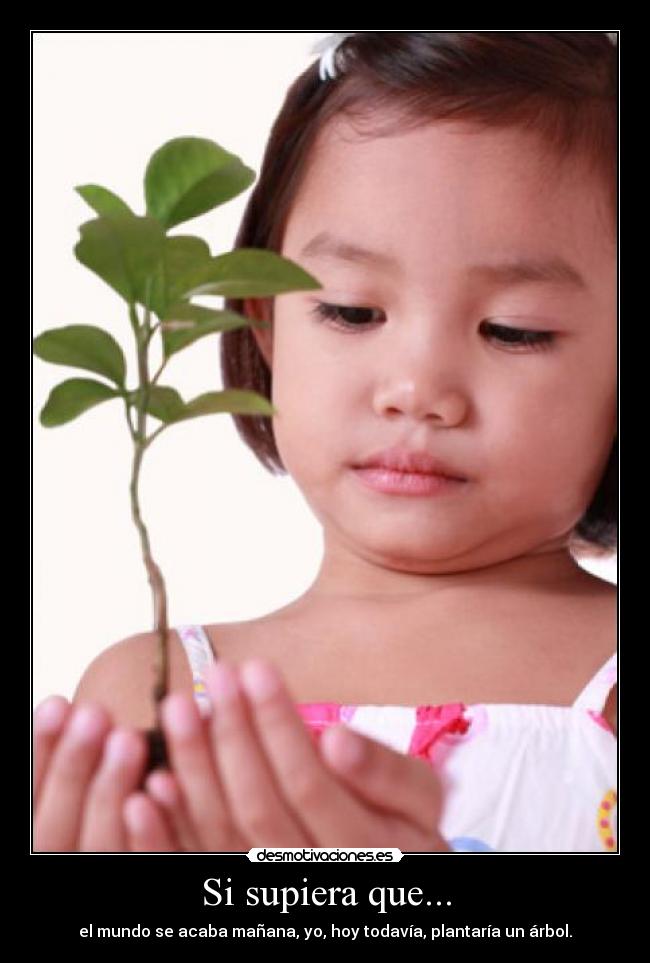 Si supiera que... - el mundo se acaba mañana, yo, hoy todavía, plantaría un árbol.