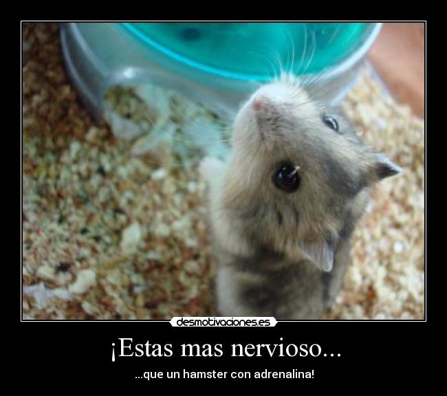 ¡Estas mas nervioso... -
