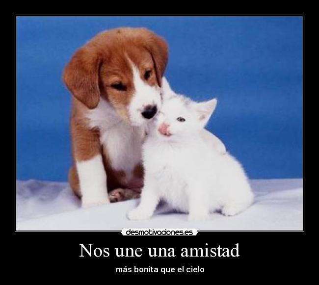 carteles amistad nosotros amistad desmotivaciones