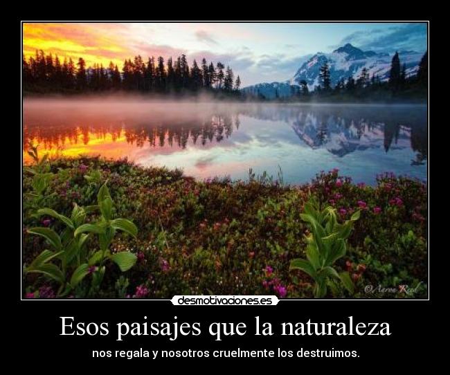 Esos paisajes que la naturaleza - nos regala y nosotros cruelmente los destruimos.