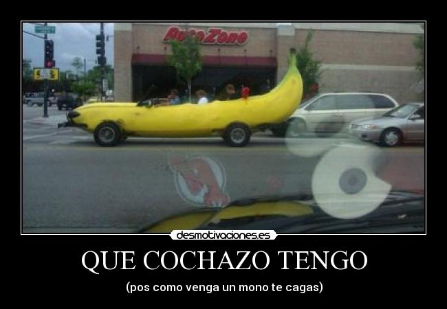 carteles curioso desmotivaciones