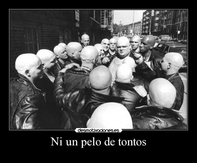 Ni un pelo de tontos -