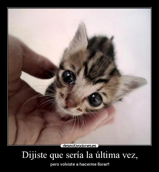 Dijiste que sería la última vez, - 