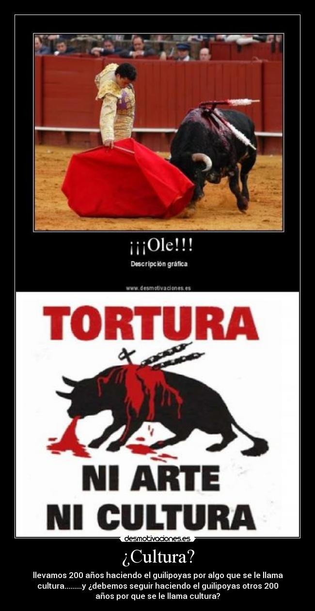 ¿Cultura? - 