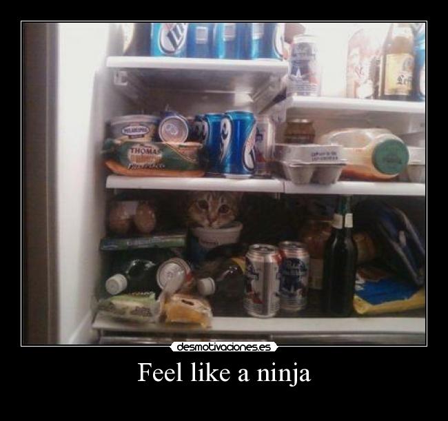 Feel like a ninja -