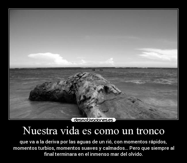 Nuestra vida es como un tronco - que va a la deriva por las aguas de un rió, con momentos rápidos, 
momentos turbios, momentos suaves y calmados... Pero que siempre al
final terminara en el inmenso mar del olvido.