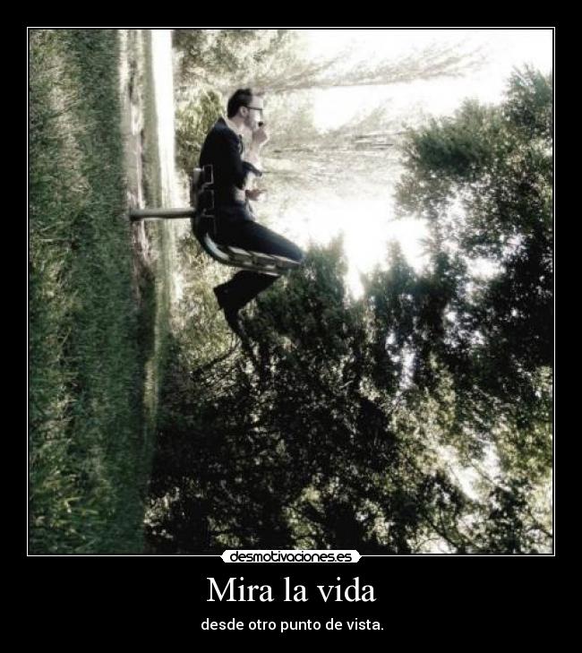 Mira la vida -
