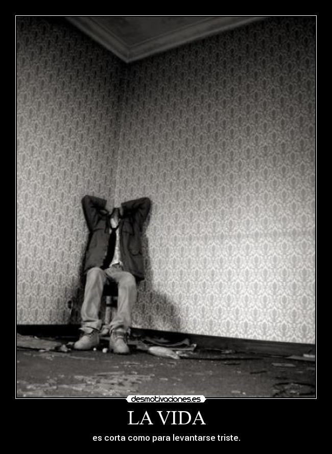 carteles vida vida desmotivaciones