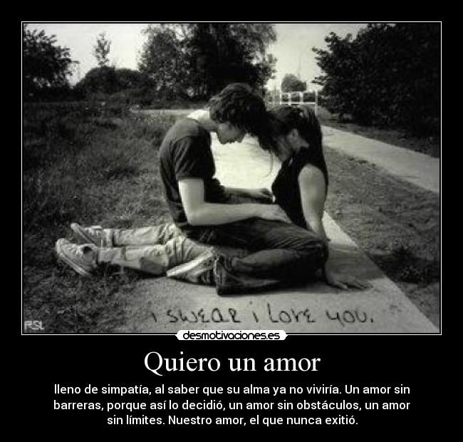 Quiero un amor -