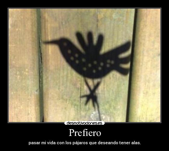 carteles animal desmotivaciones