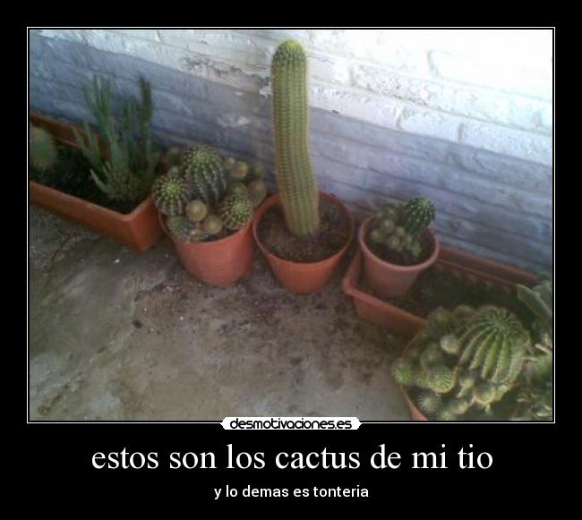 carteles desmotivaciones