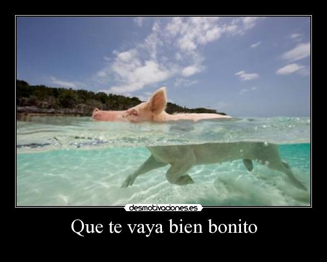 Que te vaya bien bonito -