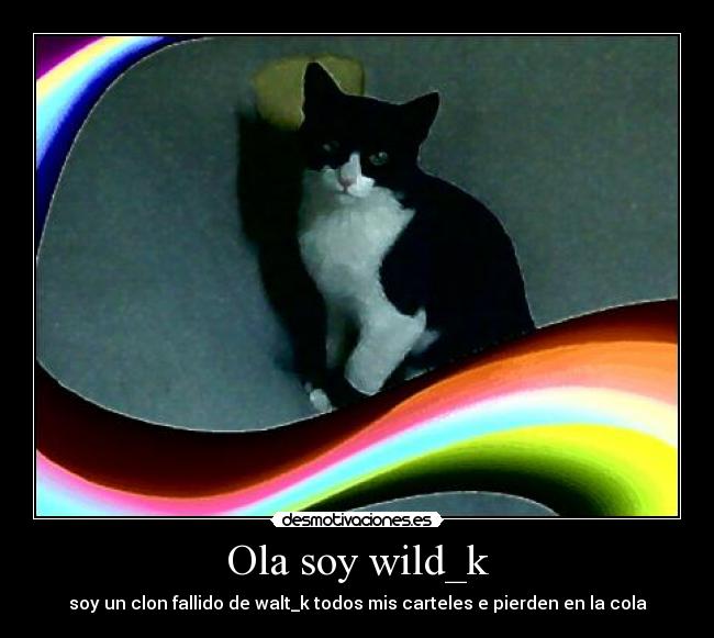 Ola soy wild_k -