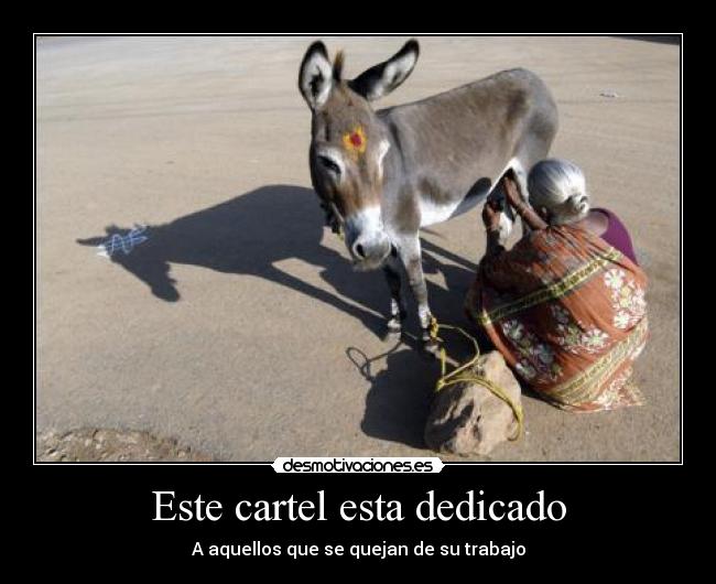 carteles ordenar burro lol desmotivaciones