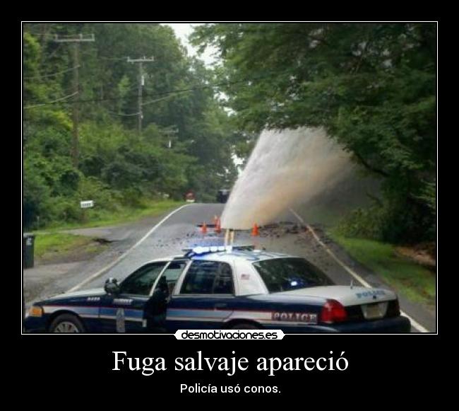 Fuga salvaje apareció - 