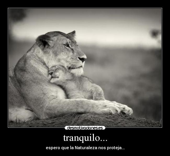 tranquilo... - 