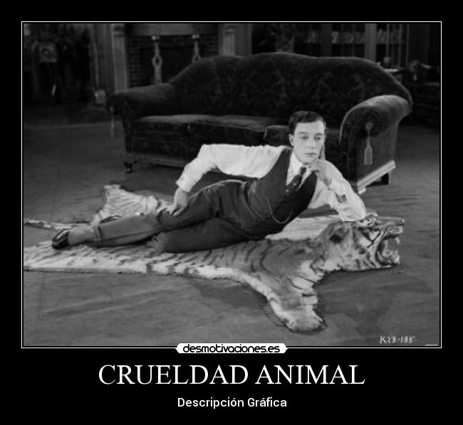 CRUELDAD ANIMAL - Descripción Gráfica