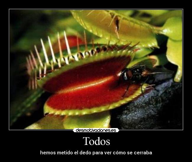 Todos - hemos metido el dedo para ver cómo se cerraba