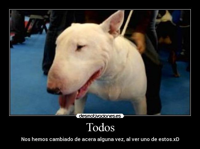 Todos - Nos hemos cambiado de acera alguna vez, al ver uno de estos.xD