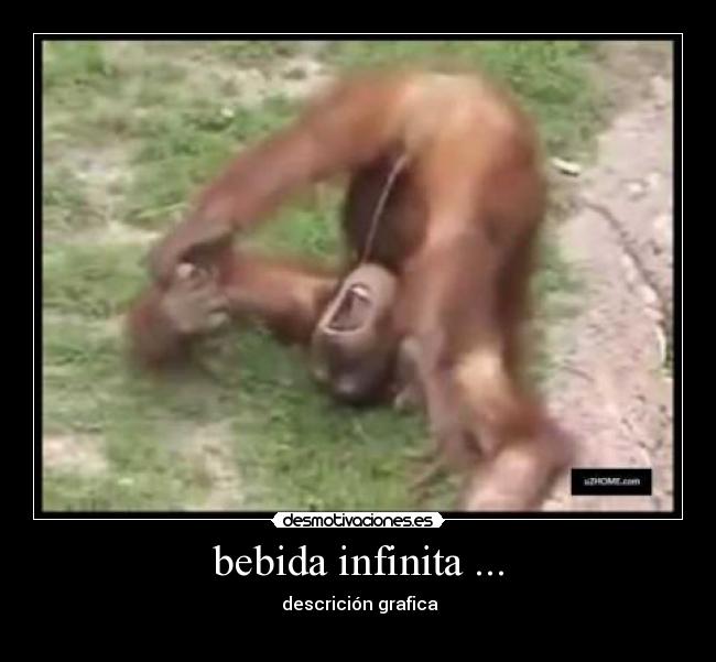 bebida infinita ... -