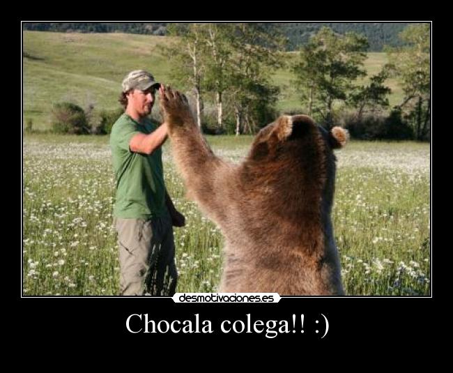 Chocala colega!! :) - 