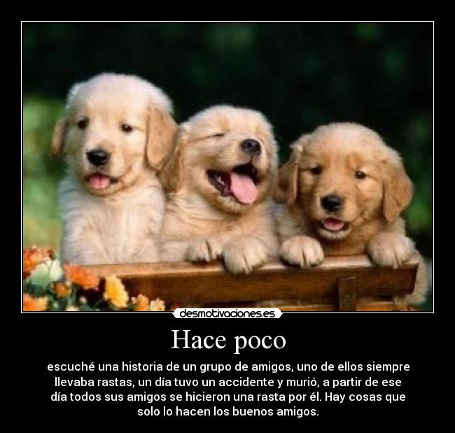 Hace poco - 