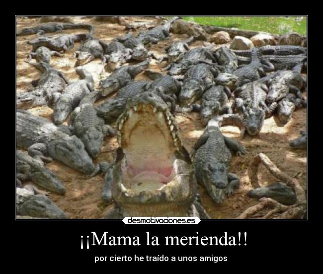 ¡¡Mama la merienda!! - 