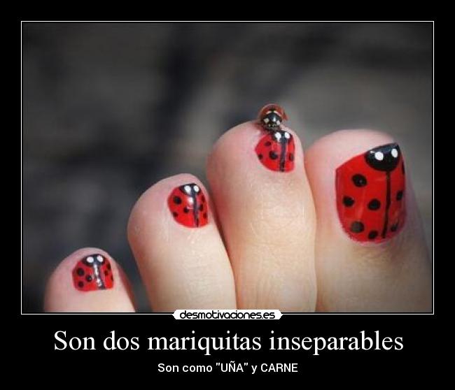 Son dos mariquitas inseparables - 