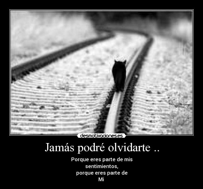Jamás podré olvidarte .. -