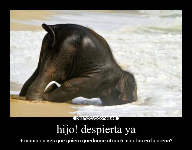 hijo! despierta ya -