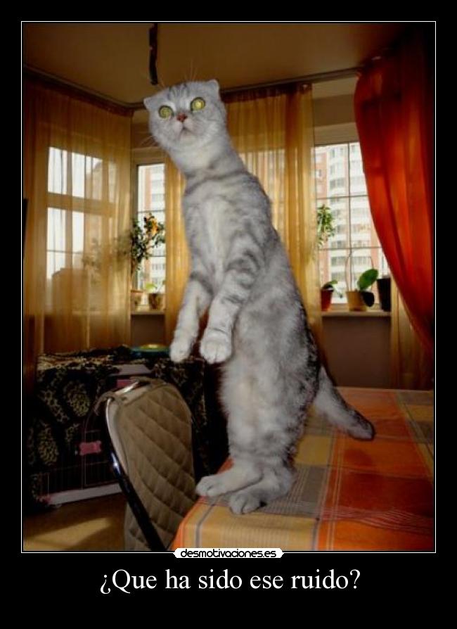 ¿Que ha sido ese ruido? -