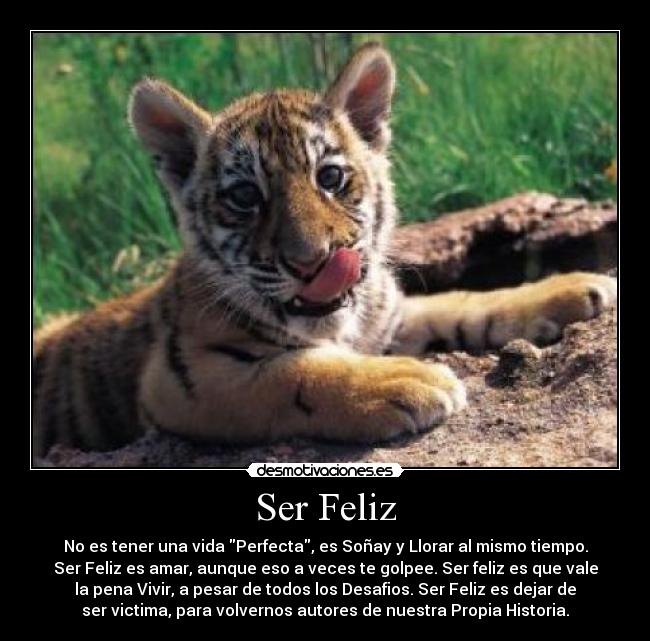 Ser Feliz - 