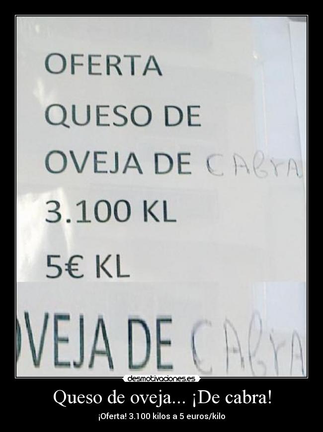 Queso de oveja... ¡De cabra! - ¡Oferta! 3.100 kilos a 5 euros/kilo