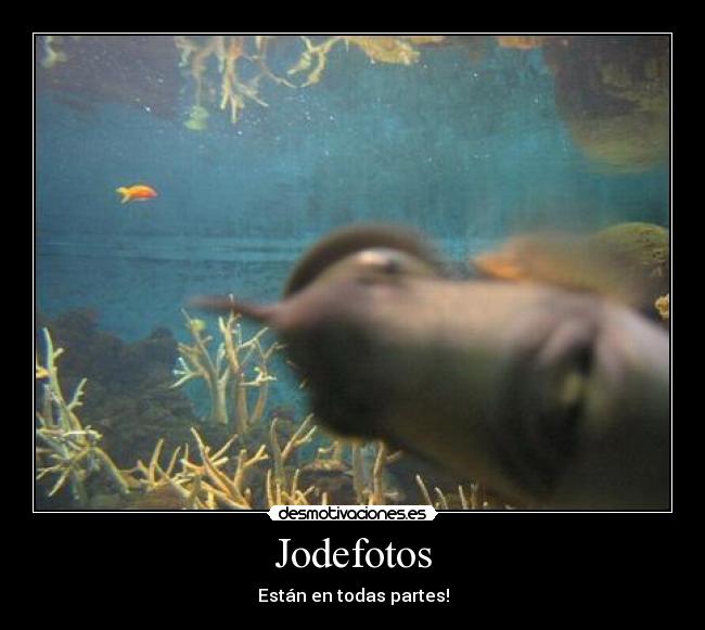 Jodefotos -
