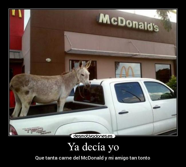 Ya decía yo - Que tanta carne del McDonald y mi amigo tan tonto 