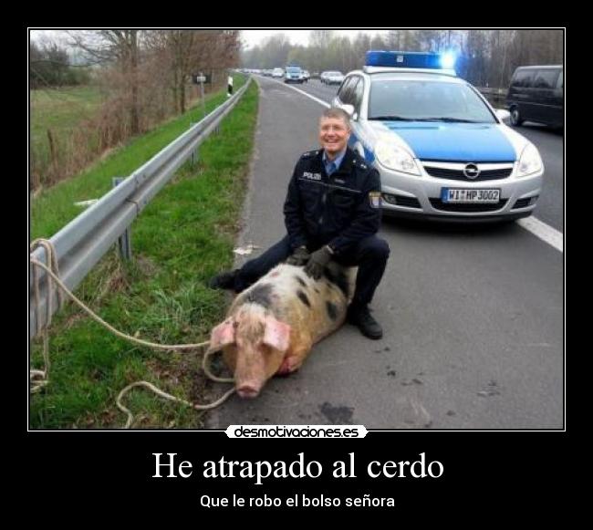 carteles cerdopolicia desmotivaciones