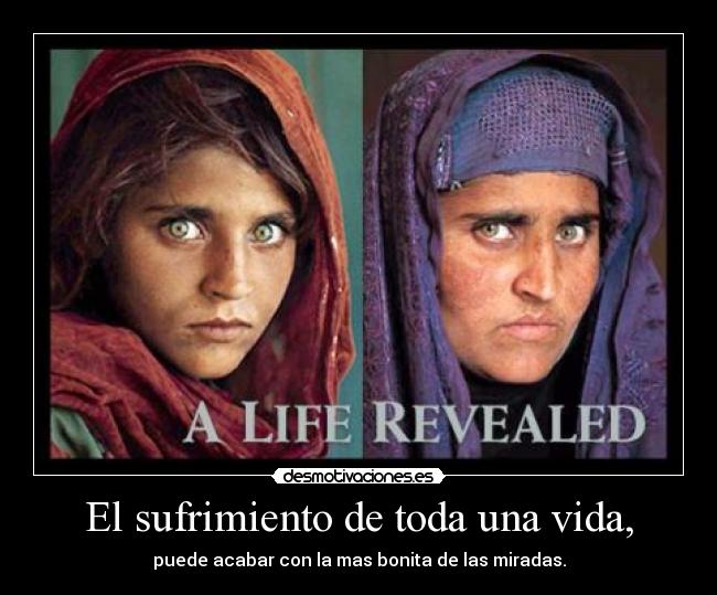 carteles vida desmotivaciones